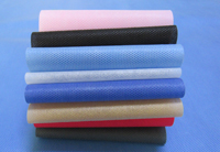 永顺涤纶（PET）无纺布是什么